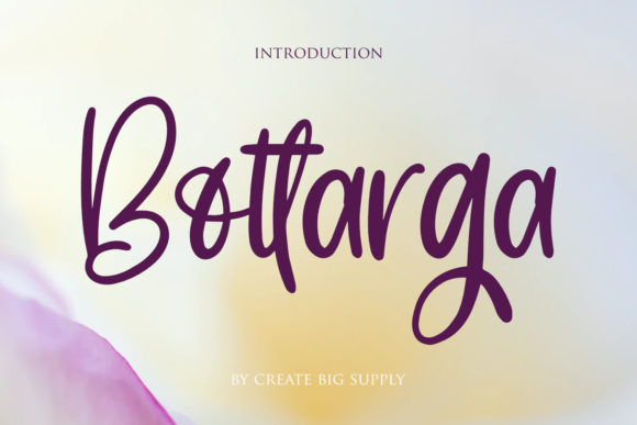 Bottarga Font Poster 1