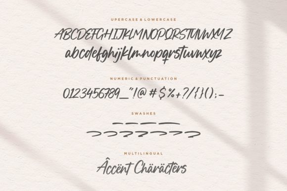 Boucik Font Poster 6