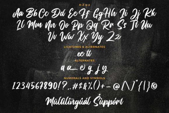 Breaking Pirate Font Poster 9