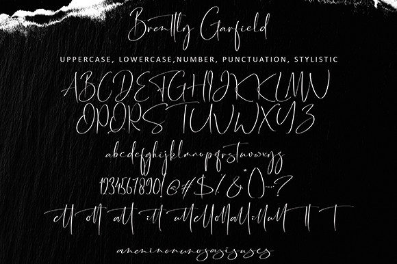 Brently Garfield Font Poster 9