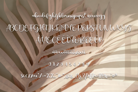 Brilliant Soulmate Font Poster 5