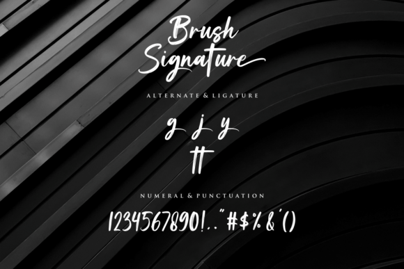 Brush Signature Font Poster 12