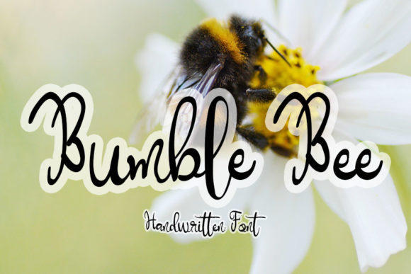 Bumble Bee Font Poster 1
