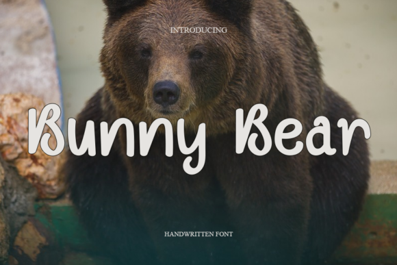 Bunny Bear Font