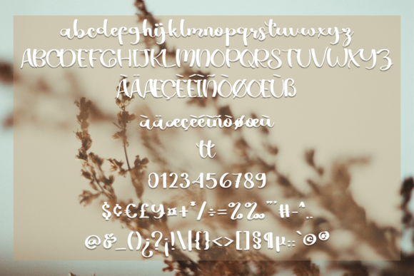 Butterfly Font Poster 4