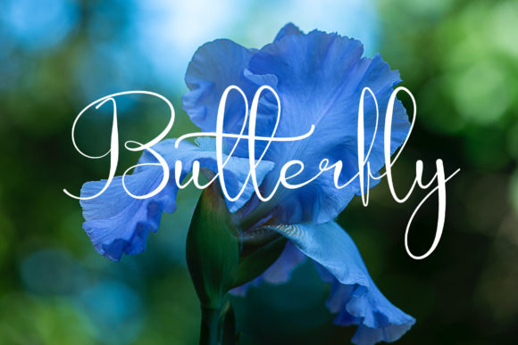 Butterfly Font