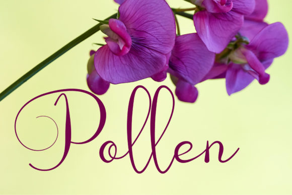 Butterfly Font Poster 2