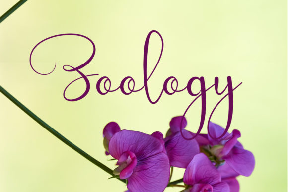 Butterfly Font Poster 3