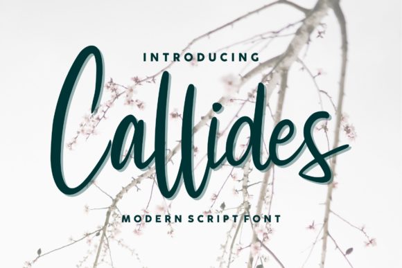 Callides Script Font