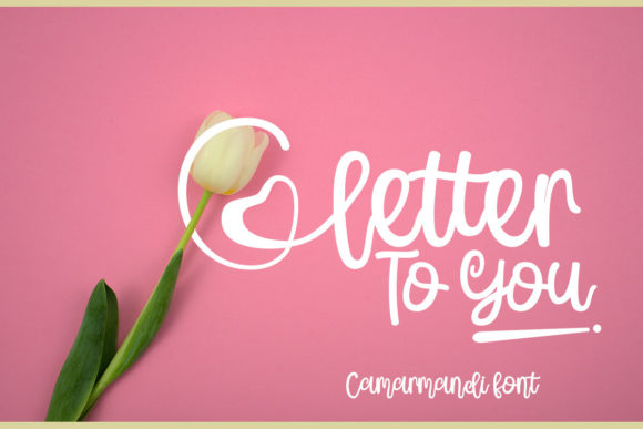Camar Mandi Font Poster 2
