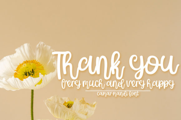 Camar Mandi Font Poster 5