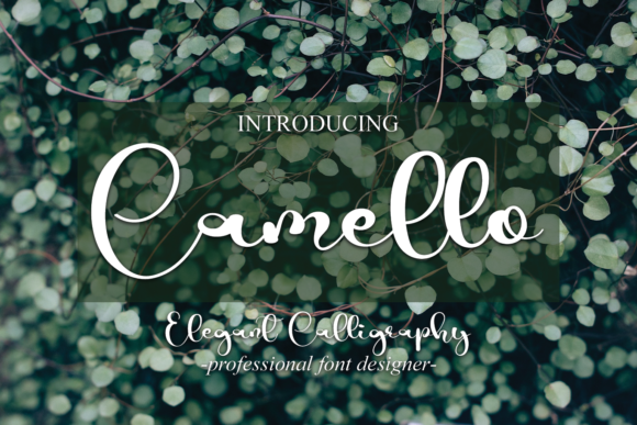 Camello Font Poster 1