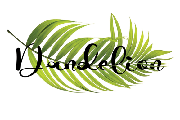 Camello Font Poster 2
