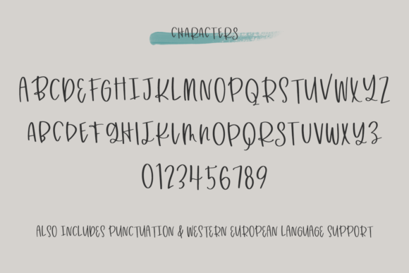 Canaveral Sans Font Poster 10