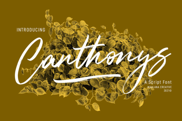 Canthonys Font Poster 1