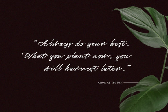 Captivate Script Font Poster 2