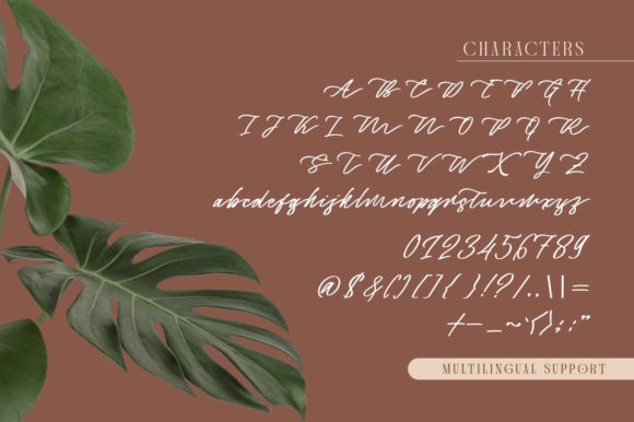 Captivate Script Font Poster 6