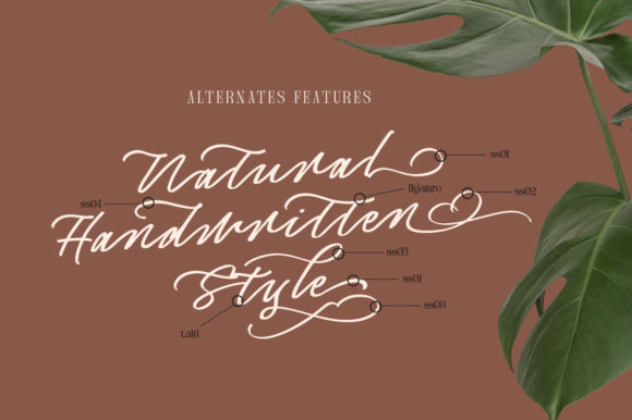 Captivate Script Font Poster 7