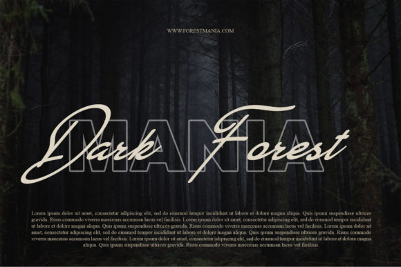 Caroline Font Poster 4