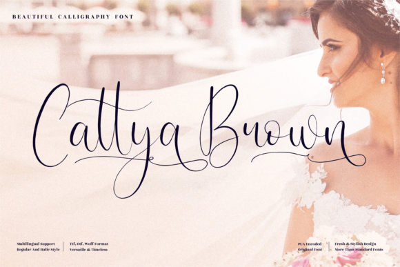 Cattya Brown Font Poster 1