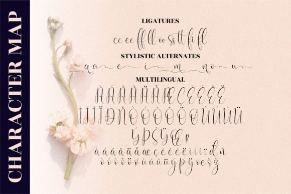 Cattya Brown Font Poster 11