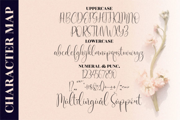 Cattya Brown Font Poster 10