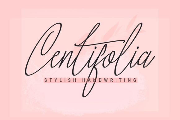 Centifolia Font