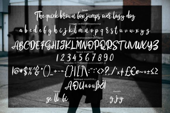 Cestroy Script Font Poster 6
