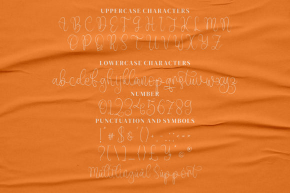 Chandler Beautiful Font Poster 6