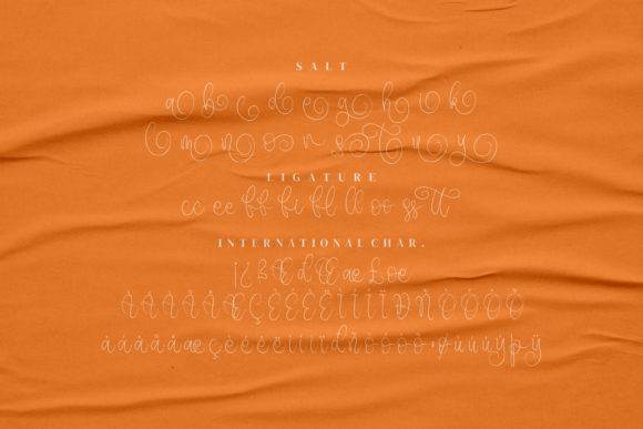 Chandler Beautiful Font Poster 7