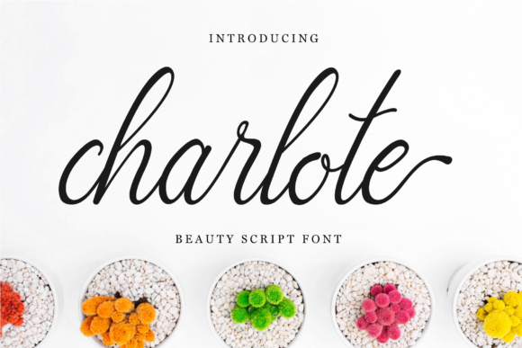 Charlote Script Font