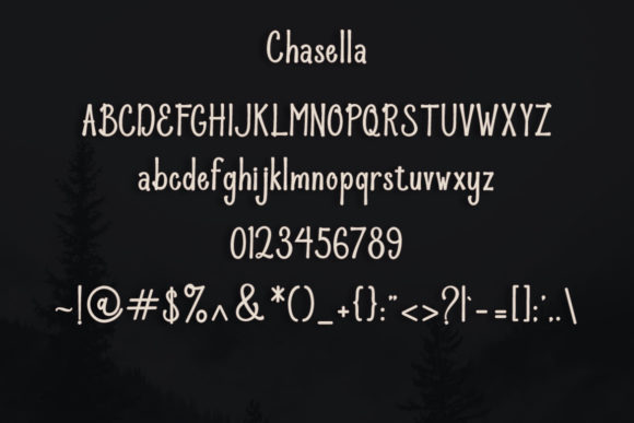 Chasella Font Poster 4