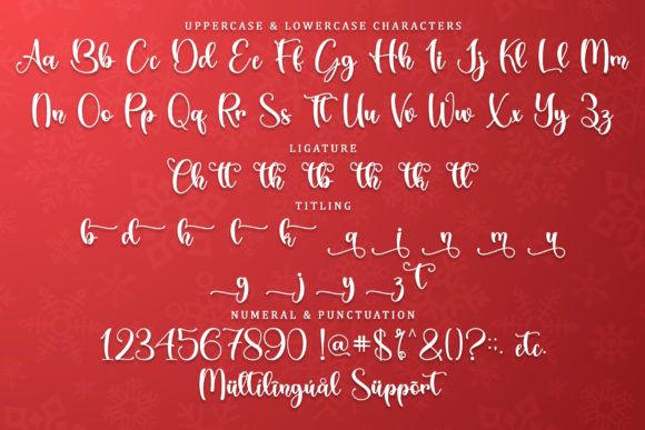 Christmas Cheer Font Poster 6