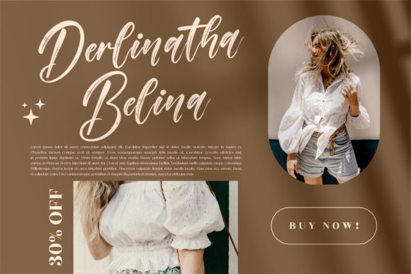 Cinderela Font Poster 4