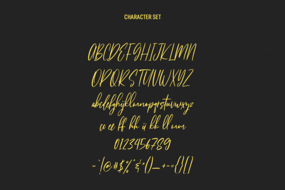 Citadels Signature Script Font Poster 8