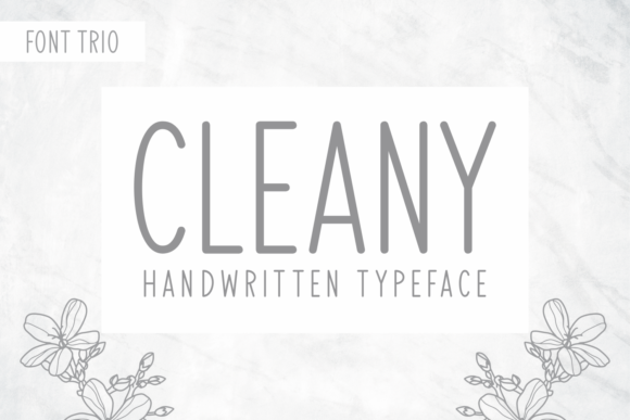 Cleany Font Poster 1
