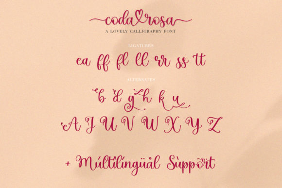 Coda Rosa Font Poster 13