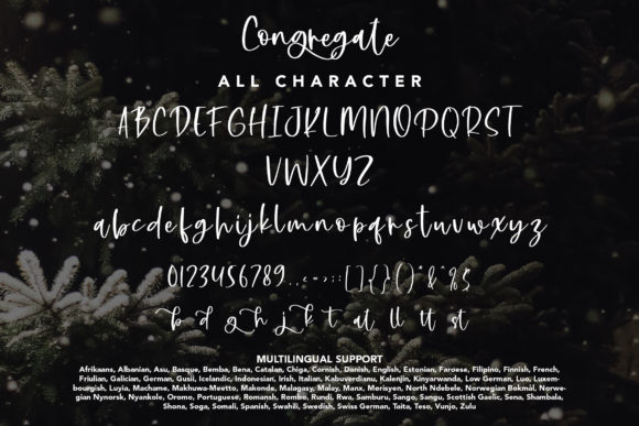 Congregate Font Poster 9