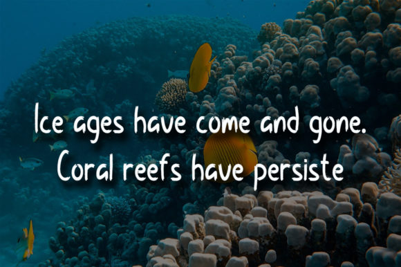 Coral Reef Font Poster 2