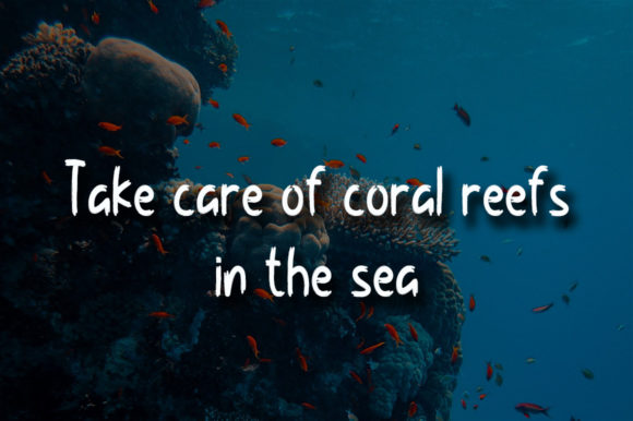 Coral Reef Font Poster 3
