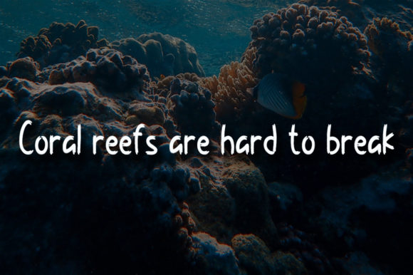 Coral Reef Font Poster 4