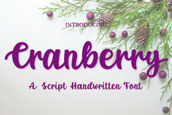 Cranberry Font