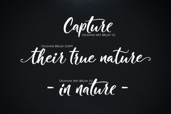 Crushine Font Poster 10
