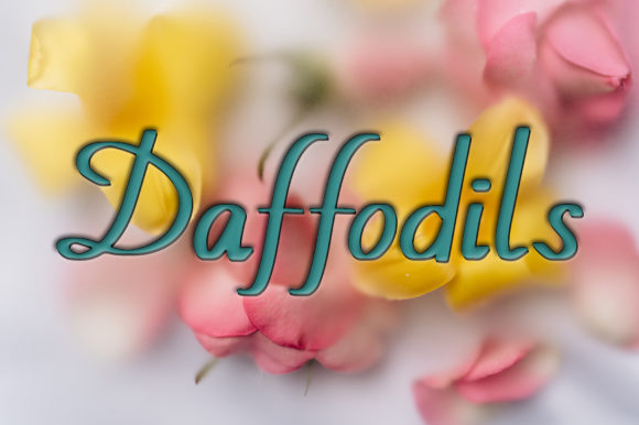 Daffodils Font Poster 1