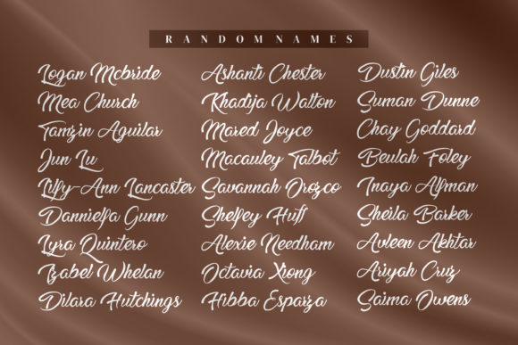 Dannieffa Stefania Font Poster 4