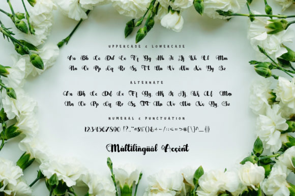 Dealova Font Poster 8