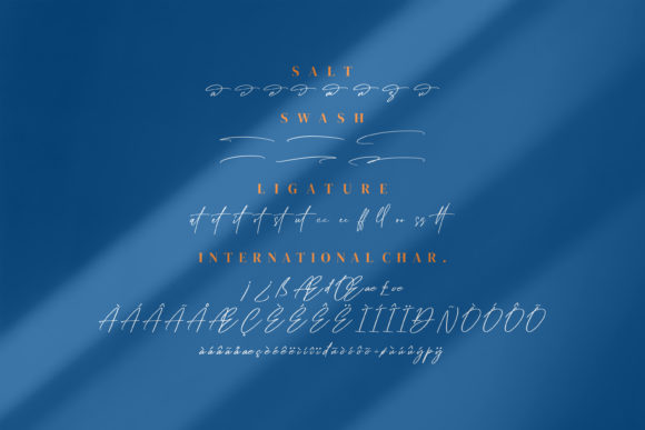 Dellyani Font Poster 7