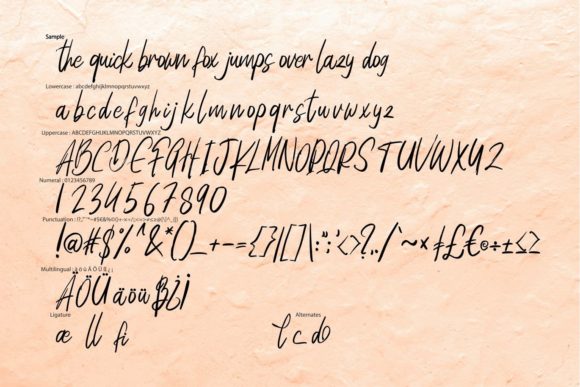 Desick Font Poster 6