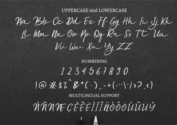 Dhafina Font Poster 2
