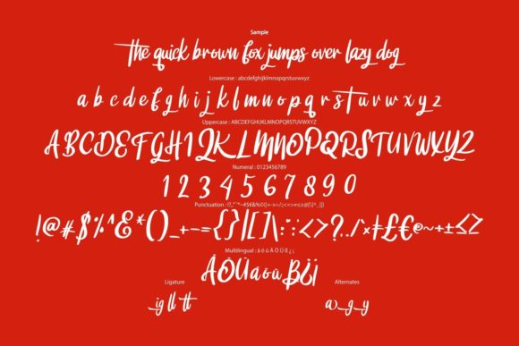 Digtta Font Poster 6